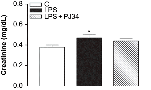 Figure 2. Effect of PJ34 on plasma creatinine levels after LPS administration. BUN levels were measured 8 hr after treatment with saline, PJ34, or LPS. All values are expresses as mean ± SEM, n = 7–8. *p < 0.05 as compared with control.
