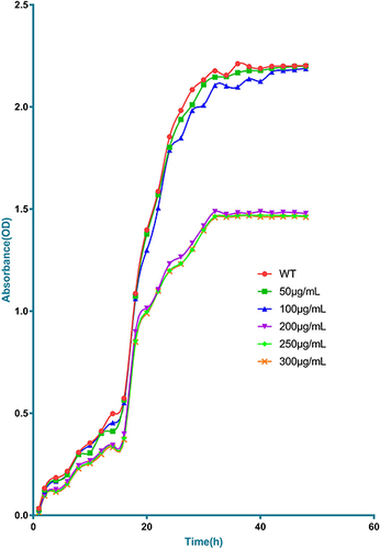 Figure 2 Inhibitory curve with various concentrations of myrtenol treatment on biofilm formation of BP-AB.