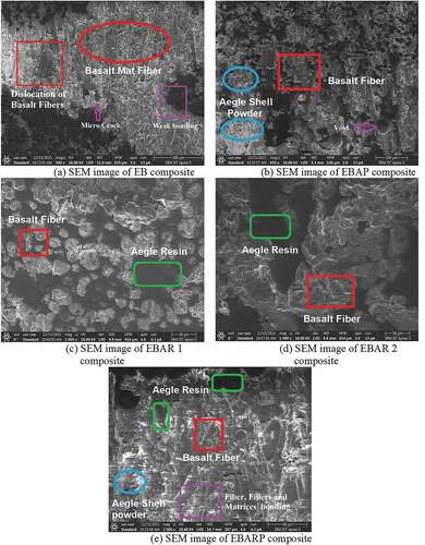 Figure 13. SEM images of the composites.