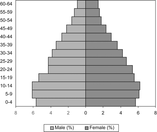 Figure 3: Age–sex distribution from the 1996 census