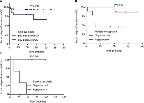 Figure 5 Relationship between p53 expression and relapse-free survival in mild/moderate/severe dysplasia groups.Notes: (A) Mild. (B) Moderate. (C) Severe.