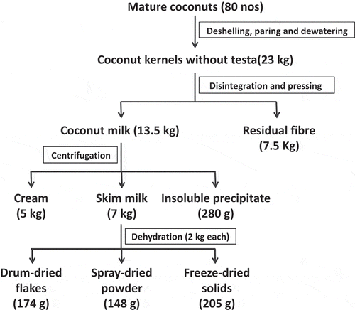 Figure 1. Mass balance flow chart for preparation of coconut skim milk powder.Figura 1. Diagrama de flujo de balance de masas para la preparación de leche de coco descremada en polvo.