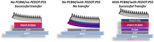 Figure 2. Schematic representations of the predicted results for the transfer-printing process with and without PEDOT:PSS and PCBM interlayers.