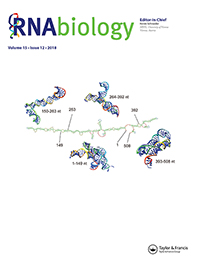 Cover image for RNA Biology, Volume 15, Issue 12, 2018