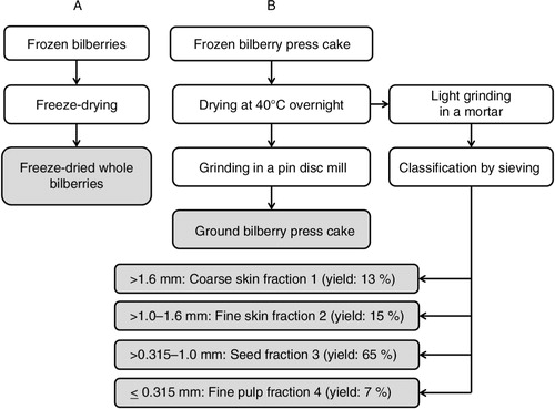 Fig. 1 Processing of bilberry, the press cake, and the fractions. The press cake was obtained from a commercial juice manufacturer.