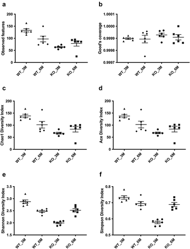 Figure 3. The alpha diversity measurements of the oral microbiome in 3- and 6-month-old Itgb6−/− and WT mice.