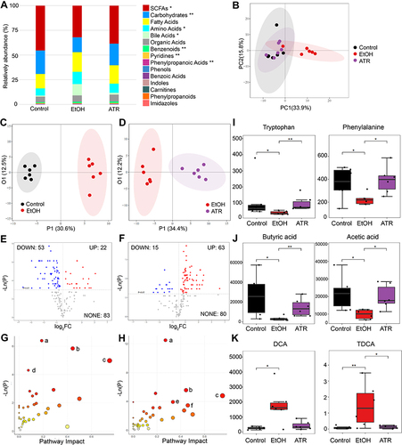 Figure 5 ATR altered the composition of metabolites in the fecal of GU rats. (A) Relative abundance of metabolites. (B) The PCA score plot. (C) The OPLS-DA score plot between control and EtOH group. (D) The OPLS-DA score plot between EtOH and ATR group. (E) Volcano plot of univariate statistical analysis metabolites between control group and EtOH group. (F) Volcano plot of univariate statistical analysis metabolites between EtOH group and ATR group. (G) Pathway analysis between control group and EtOH group. (H) Pathway analysis between EtOH group and ATR group. (a, aminoacyl−tRNA biosynthesis; b, phenylalanine metabolism; c, phenylalanine, tyrosine and tryptophan biosynthesis; d, pantothenate and CoA biosynthesis; e, cyanoamino acid metabolism; f, Glycine, serine and threonine metabolism). Changes of amino acids (phenylalanine and tryptophan) (I), SCFAs (butyric acid and acetic acid) (J), and bile acids (DCA and TDCA) (K) with univariate analysis. *p < 0.05, **p < 0.01. Data are expressed as mean ± SD (n = 6).