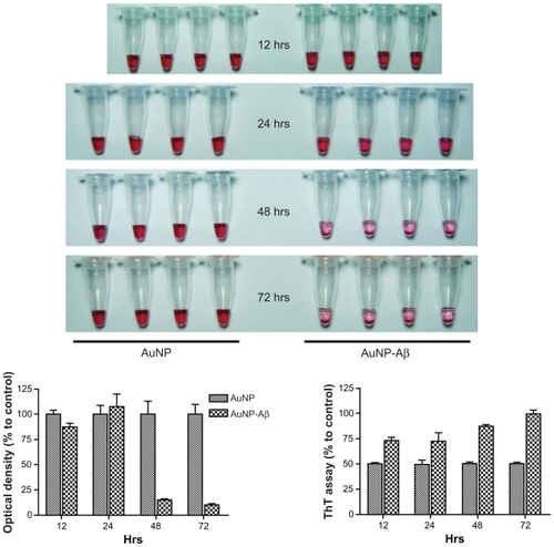 Figure 1 Schematic of sequence of Aβ42 conjugation to AuNP surface via biotin–streptavidin interaction and formation of AuNP–Aβ42 precipitate by Aβ42 aggregation.Abbreviations: Aβ amyloid β Aβ42, amyloid β42; AuNP, gold nanoparticle.