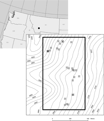 FIGURE 2. Map of the study area in the Tobacco Root Mountains of Montana. Strip-bark tree locations are shown on a 20-m contour map