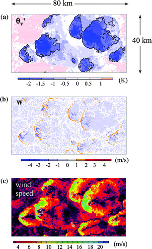 Fig. 14. Horizontal cross-section of potential temperature anomaly (a), vertical velocity (b) and wind speed (c) close to the surface, from a LES of deep convection over land. The figures illustrate the properties of the convectively generated cold pools: pools of negative temperature anomalies (a) with strong upward motion at their front – narrow orange stripes in (b) – and horizontal wind gusts – green and blue zones in (c).