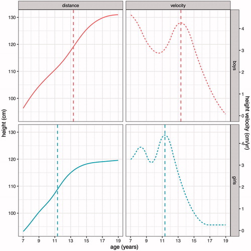 Figure 2. Mean height curves (left, solid lines) and height velocity curves (right, dotted lines) for ACH boys (above) and girls (below) fitted by SITAR. The ages at peak height velocity are marked by vertical dashed lines.