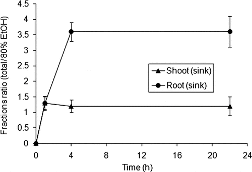 FIGURE 3 Amount of total and EtOH fractions in shoots and roots during pulse-chase experiments. One leaf per plant was exposed to 14C-MeG during 1 h, and transport of the radiolabel went to sinks within 21 h (n = 3).