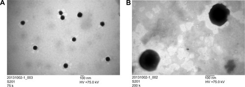 Figure 1 Transmission electron micrographs of self-nanoemulsifying drug delivery systems at magnifications of (A) 75,000× and (B) 200,000×. The scale bar is 100 nm.