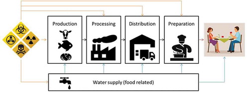 Figure 1. Simplified depiction of possible introduction points of CBRN agents in the food chain.