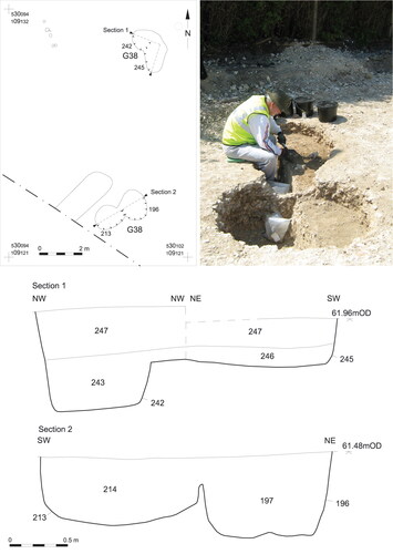 fig 5 Plan of G38 (pits 196, 213), as well as section and photos and photograph of features during excavation.
