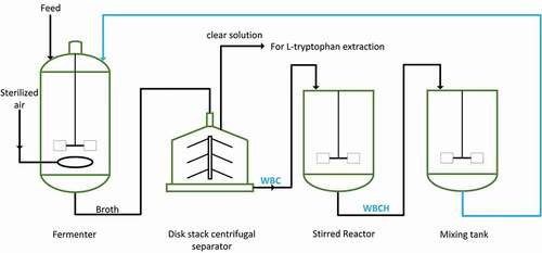 Figure 1. Preparation and utilization of WBCH. WBC refers to waste bacterial cell recovered by centrifugation. WBCH refers to waste bacterial hydrolysate produced by acid hydrolysis.