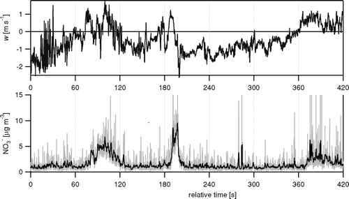 FIG. 5 Example time series of the vertical wind components (w) and the NO3 − concentration derived from m/z 30 for 16 June 2003, 12:30 PM. Shown are the raw 10 Hz data, and also a 1 s running mean for the concentration data (black line on the bottom panel).