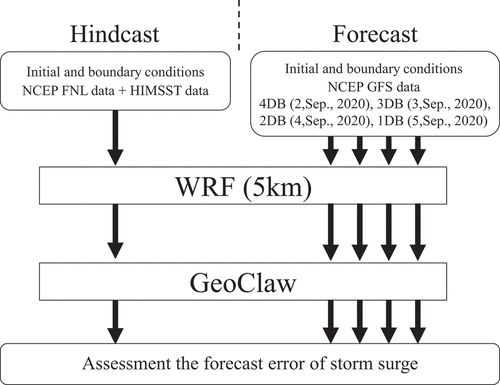 Figure 1. Computational flow of hindcast experiment and forecast experiments.