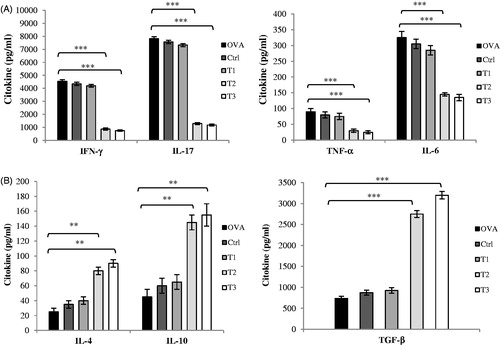 Figure 3. High and medium level of estrogen suppresses MOG-specific pro-inflammatory cytokines and preferentially induces Th2 and Treg cytokine production. Splenocytes and lymph nodes from immunized mice from all groups (52 mice) were isolated on day 21 post-immunization and restimulated with MOG35–55 (20 μg/ml) for 72 h. Culture supernatants were collected and Cytokine concentrations were measured by ELISA. Cytokine assays were conducted in triplicate wells. (A) Pro-inflammatory cytokines including IFN-γ, IL-17, TNF-α and IL-6 (B) Anti-inflammatory cytokines including IL-4, IL-10 and TGF-β were measured from supernatants of cultures from lymph nodes. Results from splenocytes were similar to lymph nodes and data was not shown. Mice were divided into five groups: 1. Control group (Ctrl), 2. Ovariectomized group (Ova), 3. Low dose estrogen treatment group (T1), 4. Medium dose estrogen treatment group (T2), and 5. High dose estrogen Treatment group (T3). Results were expressed as mean ± SEM. *p < .05, **p < .01, and ***p < .001, T1, T2, T3 and Ctrl groups compared with OVA group.