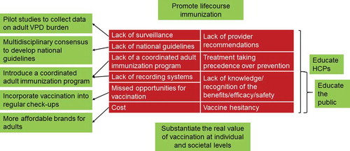 Figure 2. Barriers to adult vaccination (red) and next steps (green).