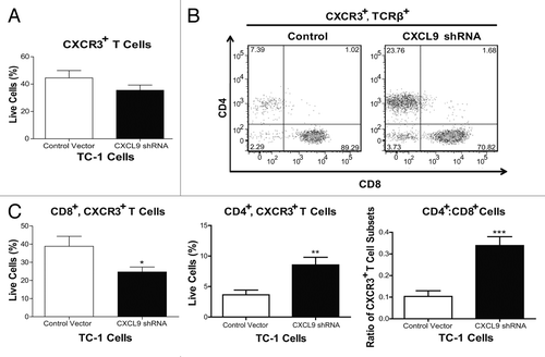 Figure 5. Knockdown of CXCL9 in TC-1 cells alters T-cell subset distribution in the tumor plugs of vaccinated mice. (A–C) TC-1 cells bearing a control plasmid or a shRNA plasmid for the downregulation of CXCL9 were co-injected with basement membrane extract (BME) and allowed to form plugs for 7 d. On day 7, mice were vaccinated with Lm-LLO-E7 bacteria and, 7 d later, tumor plugs were removed and processed for the cytofluorometric measurement of the percentages of CXCR3+TCRβ+ as well as CD8+CXCR3+TCRβ+ and CD4+CXCR3+TCRβ+ T lymphocytes (among live single cells). The percentage of CXCR3+TCRβ+ cells is reported in panel (A) whereas representative density plots of the relative abundance of CD8+CXCR3+TCRβ+ and CD4+CXCR3+TCRβ+ T lymphocytes is depicted in (B) In (C) quantitative data on the percentages of CD8+CXCR3+TCRβ+ and CD4+CXCR3+TCRβ+ T cells as well as on their ratio are reported. In (A and C) columns represent mean values ± SEM of pooled data (n = 7) from two independent experiments (2–5 mice per group) (*P ≤ 0.05, **P ≤ 0.01, ***P < 0.001).