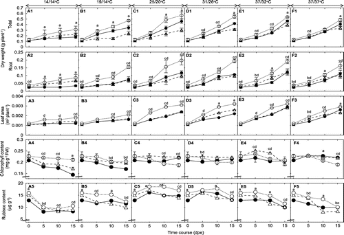 Figure 1. Effects of temperature on dry weight, leaf area and the contents of chlorophyll and Rubisco of 32R (●), 29S (○) and Nb (△). The values are the mean ± SD (n = 6 for dry weight and leaf area, n = 3 for Rubisco contents and n = 30 for chlorophyll contents). The absence of a bar indicates that the SD was within the size of the symbol. Different letters indicate significance at p < 0.05 by Tukey’s HSD test (where a is significant among 32R, Nb and 29S; b is significant between 32R and Nb; c is significant between 29S and Nb; and d is significant between 32R and 29S).