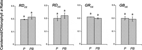 Fig. 8. Carotenoid/chlorophyll a ratio of four strains of G birdiae. Data were obtained from algae cultivated in different conditions: photosynthetically active radiation, PAR (control), P; and PAR+UV-B (0.08 W m–2), PB. Data presented as mean ± SD (N = 3). Treatments with different letters indicate significant differences according to one-way ANOVA and Newman–Keuls test (P < 0.05).