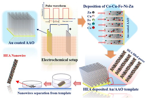 Figure 1. Schematic representation for the synthesis of 1D Co–Cu–Fe–Ni–Zn high-entropy alloy nanowires and illustration of the step-by-step process from the synthesis on AAO template to the separation of nanowires from AAO.