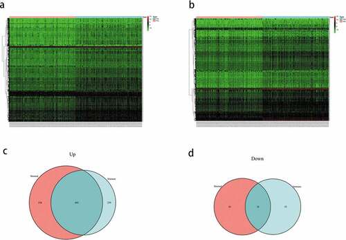 Figure 2. (a) Heatmap of the expression of the differentially expressed genes (DEGs) grouped by the stomal score. (b) heatmap of the expression of the DEGs grouped by immune score. (c) venn diagram of the upregulated genes common between the immune score and stomal score groups. (d) venn diagram of the downregulated genes common between the immune score and stomal score groups