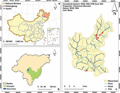 Figure 1. The location of the study area: (a) The location of Harbin in Heilongjiang Province, P.R. China (China Map Examination No. is GS (2019) 1822); (b) The location of Maoershan Experimental Forest Farm in Shangzhi of Harbin; (c) The location of sample plots in Maoershan. The projection coordinate system for (b) and (c) is WGS 1984 UTM Zone 52 N.