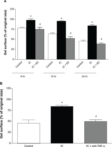 Figure 3 Collagen gel contraction data for gels containing adult cardiac fibroblasts cocultured with cardiac inflammatory cells (IC) and estrogen-treated inflammatory cells (IC + E2) at 6, 12, and 24 hours (A) and collagen gel contraction data for gels containing adult cardiac fibroblasts cocultured with cardiac inflammatory cells (IC) and cardiac inflammatory cells in the presence of a neutralizing antibody against TNF-α (IC + anti-TNF-α) at 24 hours (B). *P < 0.05 versus control; #P < 0.05 versus IC.Abbreviation: TNF-α, tumor necrosis factor-alpha.