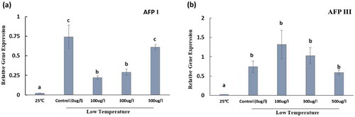 Figure 4. Transcript levels of Plasma membrane H+-ATPase in seedlings germinated from the seeds grown in the normal growing condition (at 25°C) and those treated with or without antifreeze proteins type I (a) and type III (b) under low temperature condition (at 4°C for 5 d, followed by 10°C for 7 d and 20°C for 4 d. Control indicates the seeds soaked only in water and exposed to low temperature, and 25°C indicates the seeds soaked only in water and grown in the normal growing condition (25°C) for 16 days. Data represent means of three biological replicates, and bars indicate errors of three biological replicates.