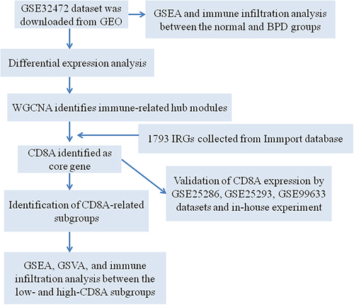 Figure 1 The schematic graph of the bioinformatics analysis.