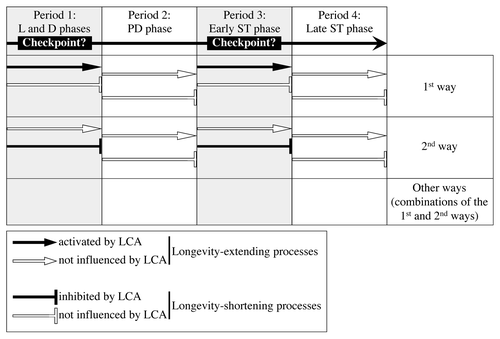 Figure 4. There are several ways through which LCA could differentially influence some longevity-extending and longevity-shortening processes following its addition at different periods of yeast chronological lifespan. LCA could control these longevity-defining processes at certain checkpoints that may exist in L/D and early ST phases (periods 1 and 3, respectively). PD and late ST phases constitute periods 2 and 4, respectively. See text for details.