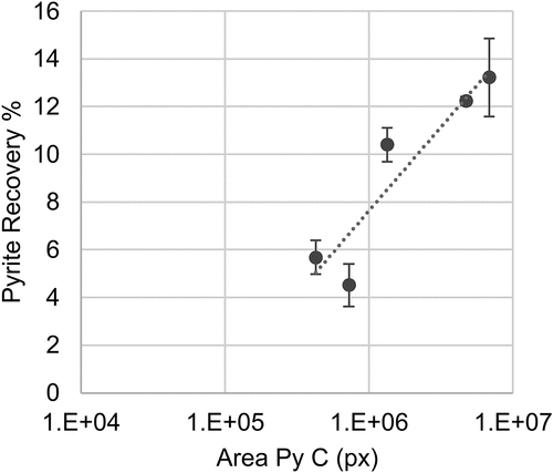 Figure 12. Correlation area in pixels of fine-grained pyrite (Py C) vs pyrite recovery.