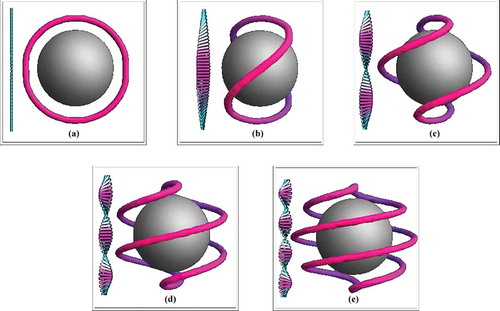 Figure 9. Far-field director configuration (bar on left) and disclination lines around a sphere with normal anchoring conditions for the director in a cholesteric liquid crystal. As the pitch of the cholesteric gets shorter (going from (a) to (e)) the disclination twists around the sphere to match.