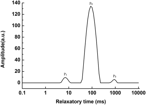 Figure 4. Typical NMR T2 curve of fish during cold storage at 4°C. P1, bound water; P2, immobilized water; P3, free water.