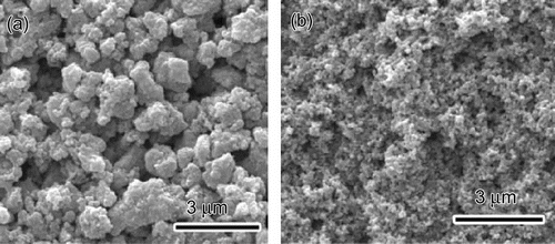 Figure 1. SEM morphology of (a) nano-TiO2 and (b) nano-TiNO2.