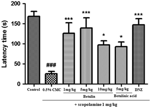 Fig. 1. Effects of betulin and betulinic acid on the scopolamine-induced amnesic mice in the passive avoidance test.