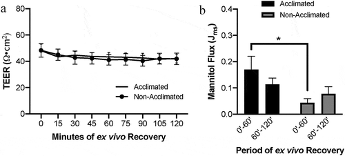 Figure 1. Effects of animal handling practices on baseline barrier function in uninjured small intestinal mucosa