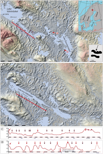 Figure 1. Hill shaded DSM of ribbed moraine in the Niemisel area, province of Norrbotten. A. The Lake Valvträsket area. B. The Lake Inre-Fällträsket area, ~22 km to the SE of area (A). Colour coding is from ~150 (reddish) to 30 (grey-bluish) m a.s.l. Violet arrows SE of Lake Valvträsket (A) point towards a set of De Geer moraine ridges, partly draping Niemisel moraine ridges. Larger De Geer moraines are marked, and are typically 200–350 m apart. Smaller ones, only 30–75 m apart, lie between the larger ones. Red arrows in (A) indicate the position for sections shown in Figure 3. The red dot on the inset map in the upper right corner of (A) shows the location of the area in a regional context. The inset frame in the lower right corner of (A) shows the most similar-looking planform in the Dunlop and Clark (Citation2006) classification of ribbed moraine, which is “broad arcuate ribbed moraine ridges” [redrawn from Figure 17 in Dunlop & Clark (Citation2006)]. C. Transect across Niemisel moraine ridges (red arrows) and De Geer moraine ridges (violet arrows) SE of Lake Valvträsket (red line in (A)). D. Transect across preferentially Niemisel moraine ridges (red arrows), but also De Geer moraine ridges (violet arrows) south of Lake Inre-Fallträsket (red line in (B)). LiDAR data provided by Lantmäteriverket, Sweden; ©Lantmäteriverket i212/927.