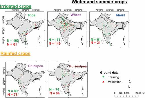 Figure 6. Spatial distribution of ground data (training and validation) data (ICRISAT Citation2022; Gumma et al. Citation2017) for mapping of major rabi crops (product 3) in South Asia using MODIS 250 m data (Miller Citation2016).