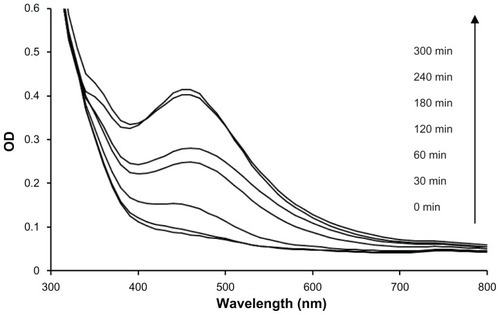 Figure 2 Ultraviolet-visible spectra recorded as a function of reaction time of 1 mM AgNO3 solution with Dioscorea bulbifera tuber extract at 40°C.