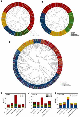 Figure 2. Phylogenetic relationship and taxonomic statistics of MAPK cascade genes in foxtail millet and other species. (a, d. Phylogenetic tree and taxonomic statistics of MAPK genes; b, e. Phylogenetic tree and taxonomic statistics of MAPKK genes; c, f. Phylogenetic tree and taxonomic statistics of MAPKKK genes; In a, b, d, e, blue represents group A, yellow represents group B, green represents group C, and red represents group D; In a and b, four species of Setaria italica, Arabidopsis thaliana, Oryza sativa, and Brachypodium distachyon were used to construct phylogenetic trees; In c and f, three species of Setaria italica, Arabidopsis thaliana, and Brachypodium distachyon were used to construct phylogenetic trees, where yellow represents the MEKK subgroup, red represents the ZIK subgroup, and blue represents the Raf subgroup.)