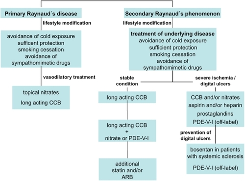 Figure 2 Treatment algorithm for Raynaud’s phenomenon.