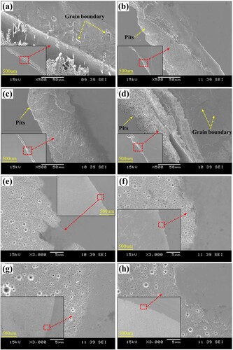 Figure 11. Surface morphologies of (a, b, c, d) substrates and (e, f, g, h) coated samples obtained by SEM after potentiodynamic polarisation test in neutral 3.5% NaCl solution: (a, e) cast, (b, f) AM, (c, g) AM-450, and (d, h) AM-1100.
