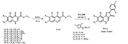 Scheme 2. Synthesis of 2-aryl-2 H-pyrazolo[4,3-c]quinolin-3-ones from ethyl-quinolin-4-one-3-carboxylates.