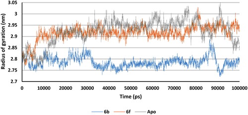 Figure 20. Rg plot of Apo (Grey), 6b (Blue), and 6f (red) complexes.