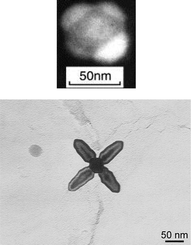 Figure 12. (a) Four caps formed on the sides of a cuboid core with the probability that there are also caps on the top and bottom faces. (b) Cruciform particle with four arms nucleating and growing from core [Citation107].