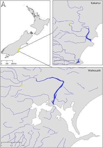 Figure 1. Location of sampling areas in southern New Zealand, in the Kakanui and Waikouaiti Rivers.
